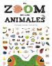 el zoom de los animales