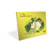 Carpeta huellas de dinosaurio 5 años