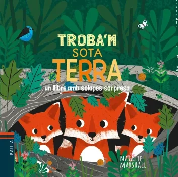 Sota terra